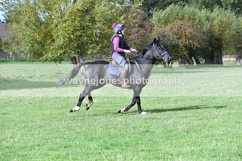 WJ5_8725 - Time 12:02 to 12:32