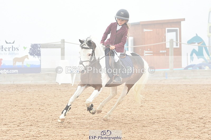 230902A-103842-00426 - Cls 2A Pony Small 70cm