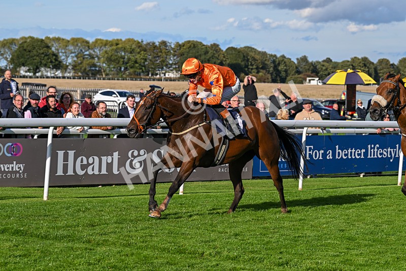 170925-Race 6-Elegant Erin-5807 - Race 6