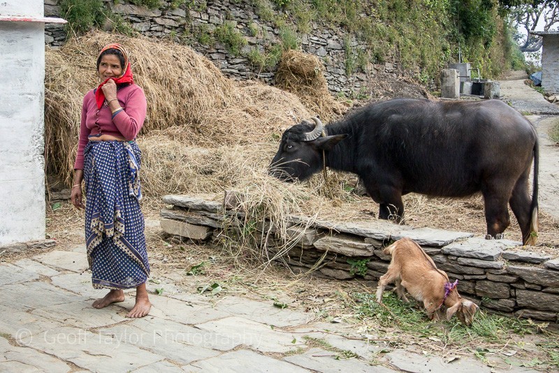 Walk from Kathdara - Binsar Sanctuary