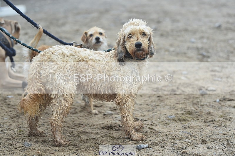 230902A-101418-00379 - Cls 2A Pony Small 70cm