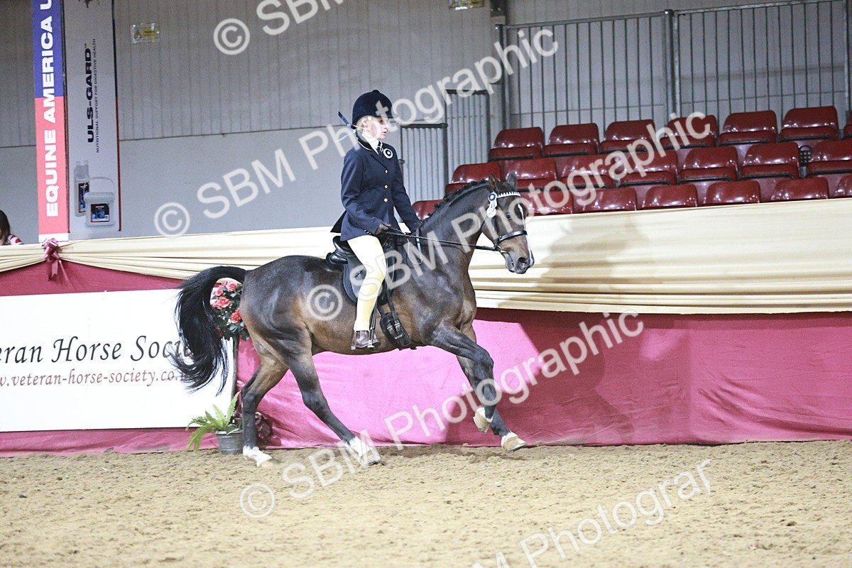 SBM_08054 - Class 11R - Regional Ridden Veteran