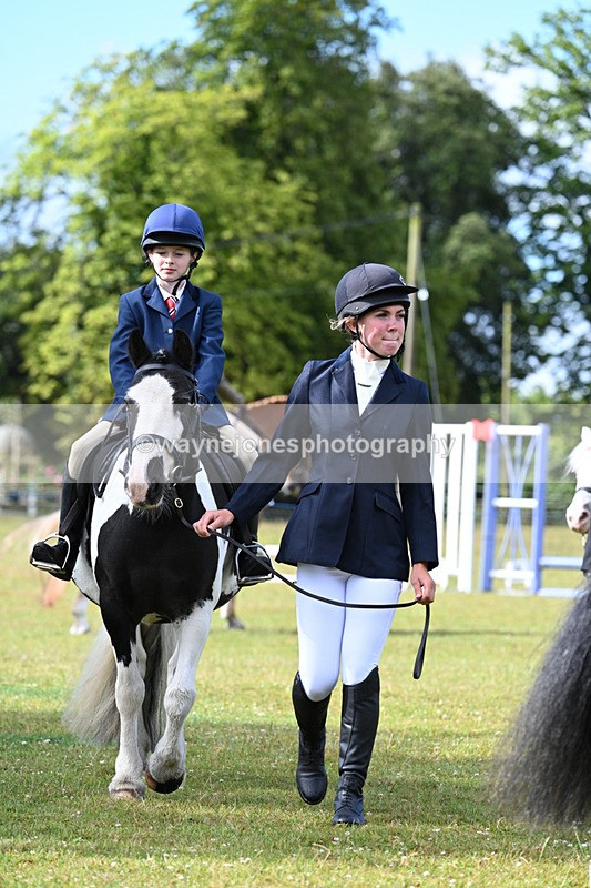 WJ7_4281 - Class 1 Lead Rein Pony