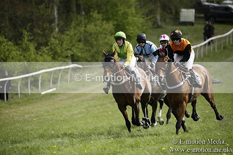 PtP 170417 289 - Old Berks Point-to-Point Lockinge 17/04/17