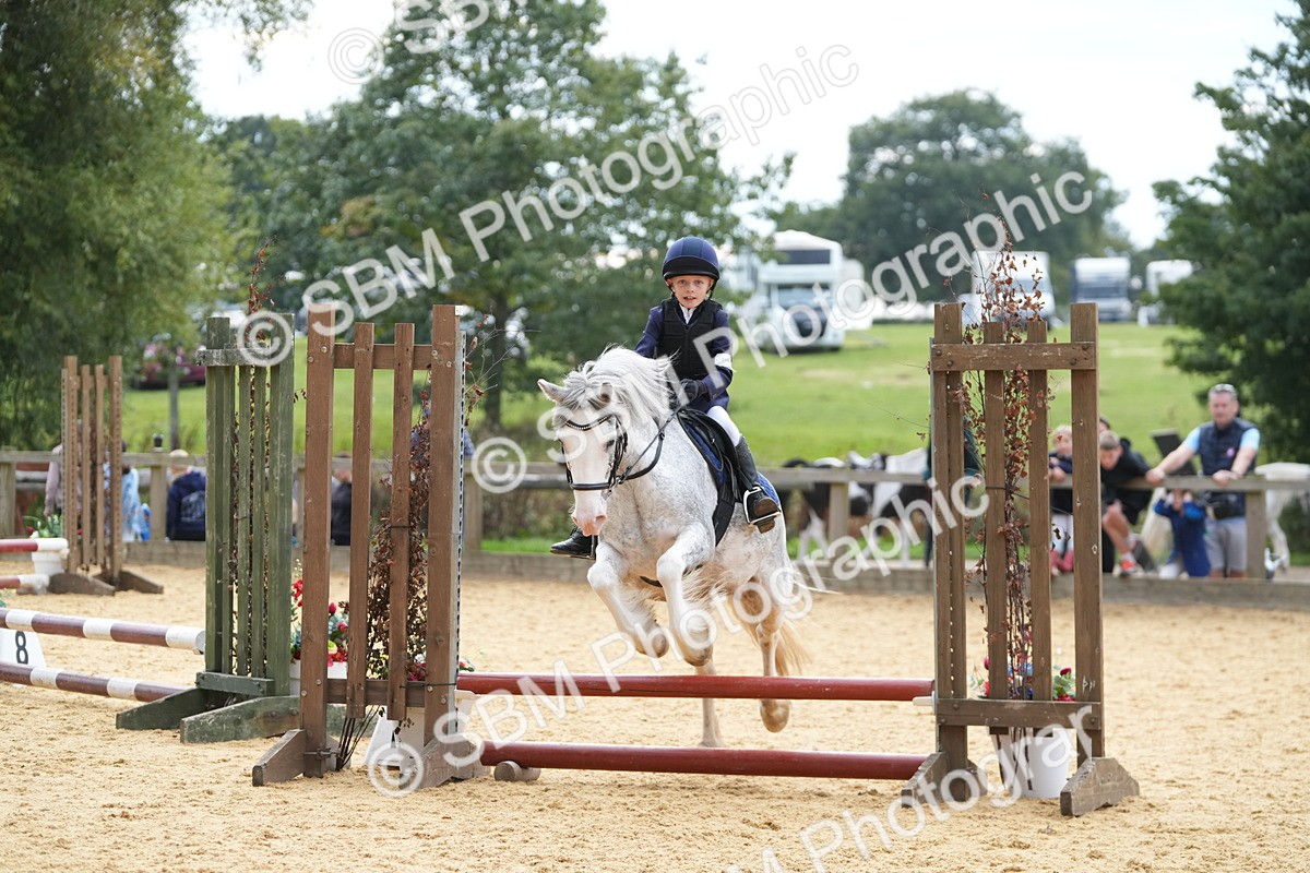 SBM_74729 - J4 - Mini Tour Junior Pony 45cm Championship
