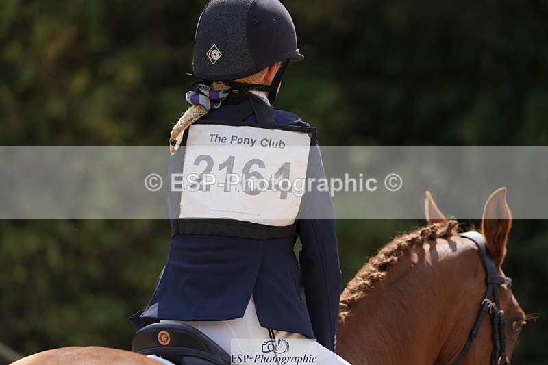 250824A-132325-37463 - 2164-Violet.Guerin-What's.his.name