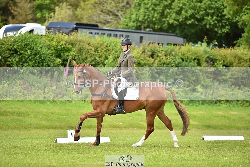 240523B-132344-02401 - 5 Year Old