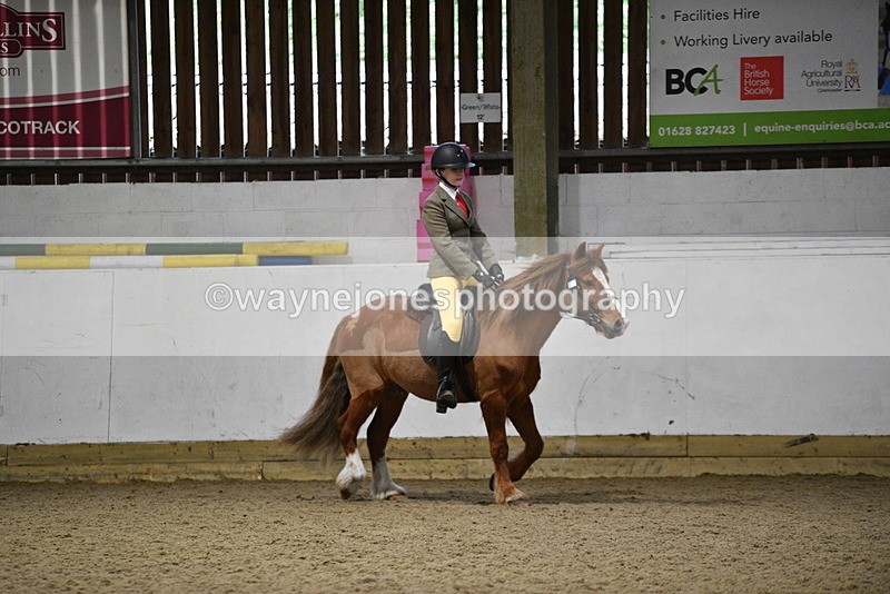 WJ5_8206 - Class 14 Novice Ridden/Rider