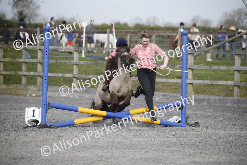 20250412-0108 - Show Jumping