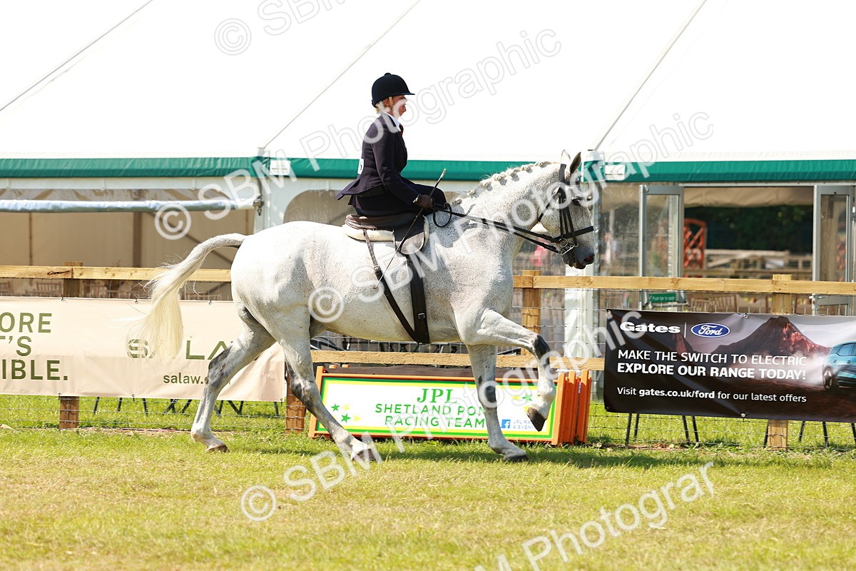 SBM_13325 - Class 70-71 - Side Saddle