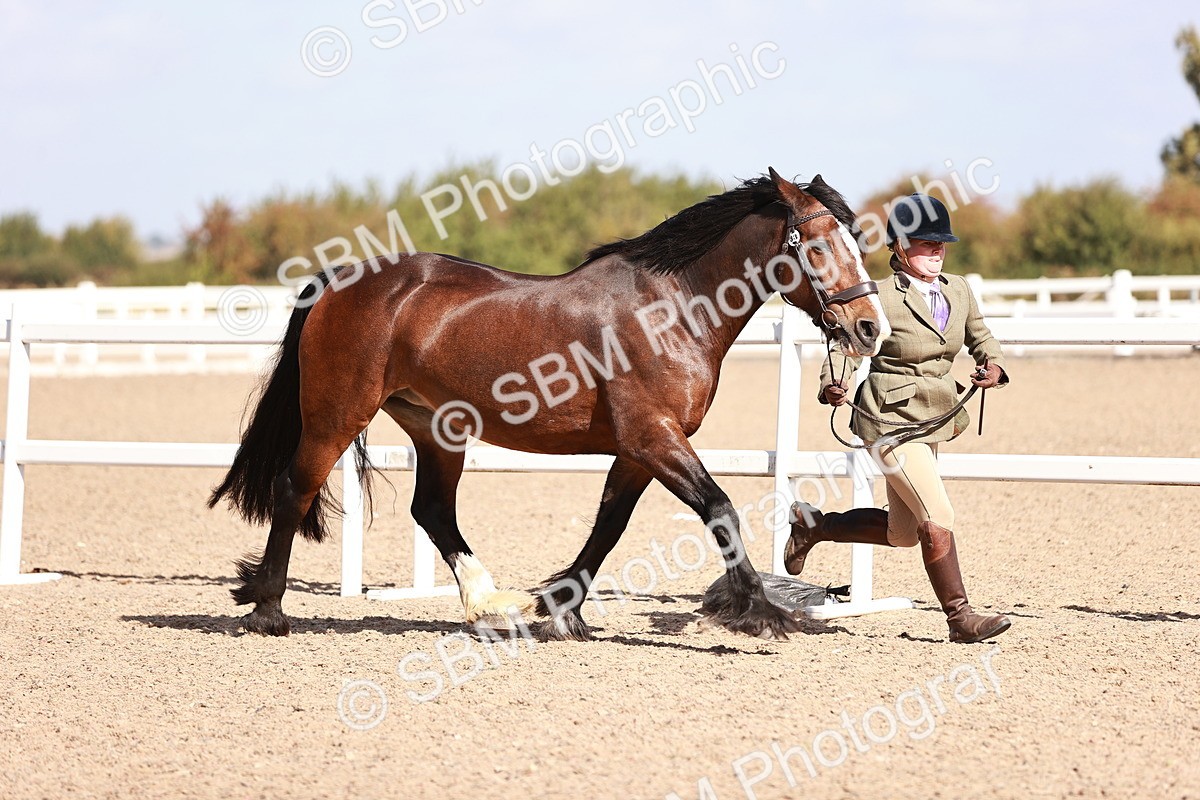 SBM_22889 - Class 706 - IH Veteran