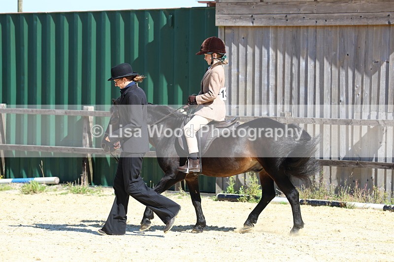 3E7A8058 - Class 15: Lead Rein