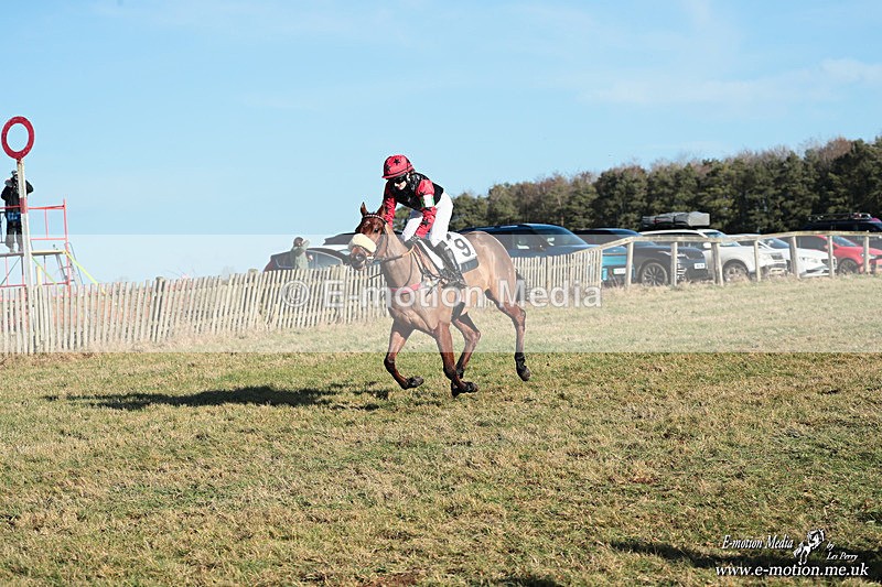 PR PtP 240126 426 - Pony Racing Horseheath 24/01/26
