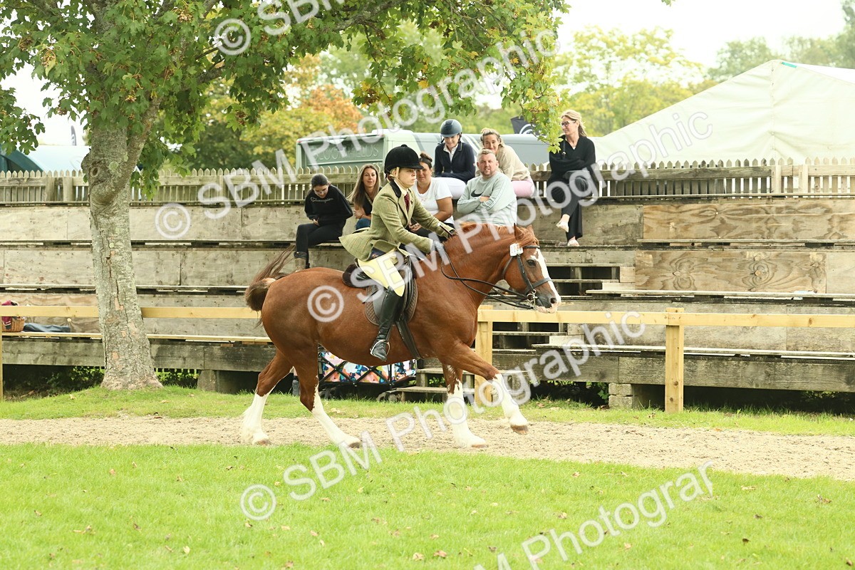 SBM_72130 - S60 - Mountain & Moorland Ridden Large Breeds