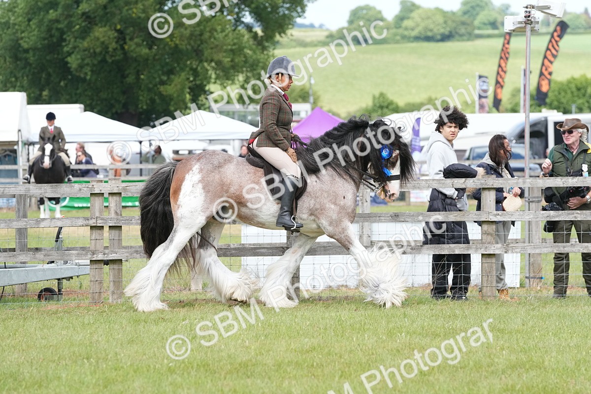 SBM_17636 - Class 107-108 - LIHS BSPS Performance Coloured Horse Pony