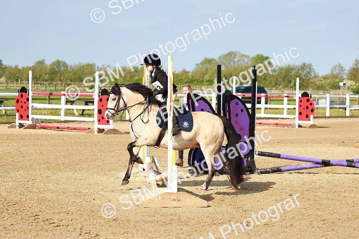 SBM_006245 - Class 1 - 40cm