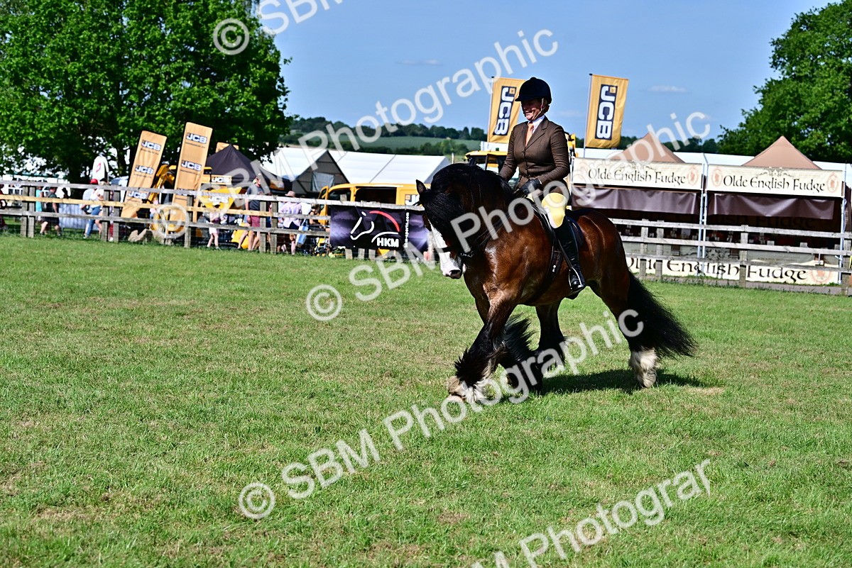 SBM_09360 - Class 63-65 - Traditional Gypsy Cobs In Hand & Ridden