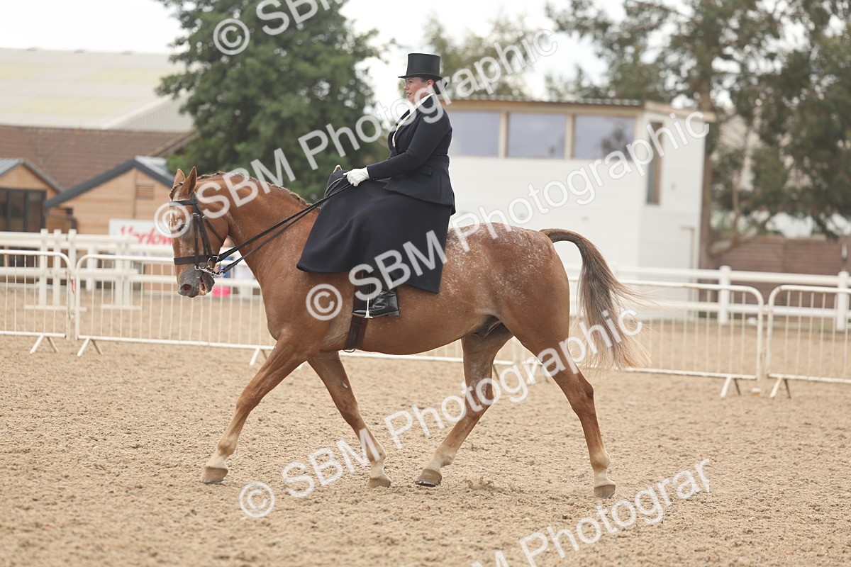 SBM_06421 - Class 23 - SSA - Classical