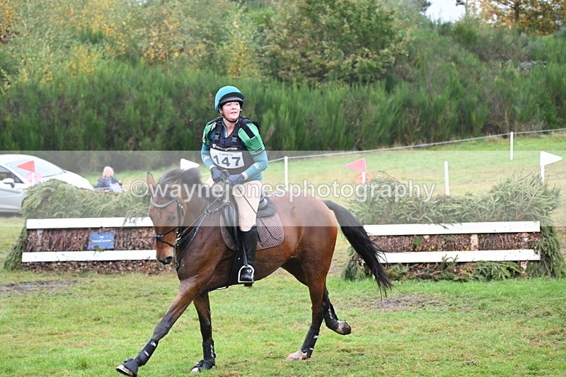 WJ6_2411 - 80cm Cam 1 Time 11:23 to 12:04