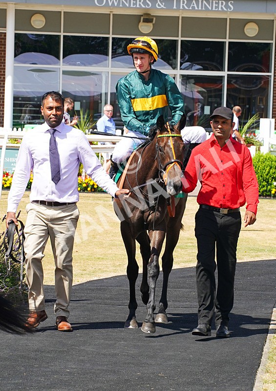 240726-Race 1-Martinet-00970 - Race 1 14.00pm Sky Bet Go-Racing-In-Yorkshire Summer Festival EBF Fillies' Novice Stakes