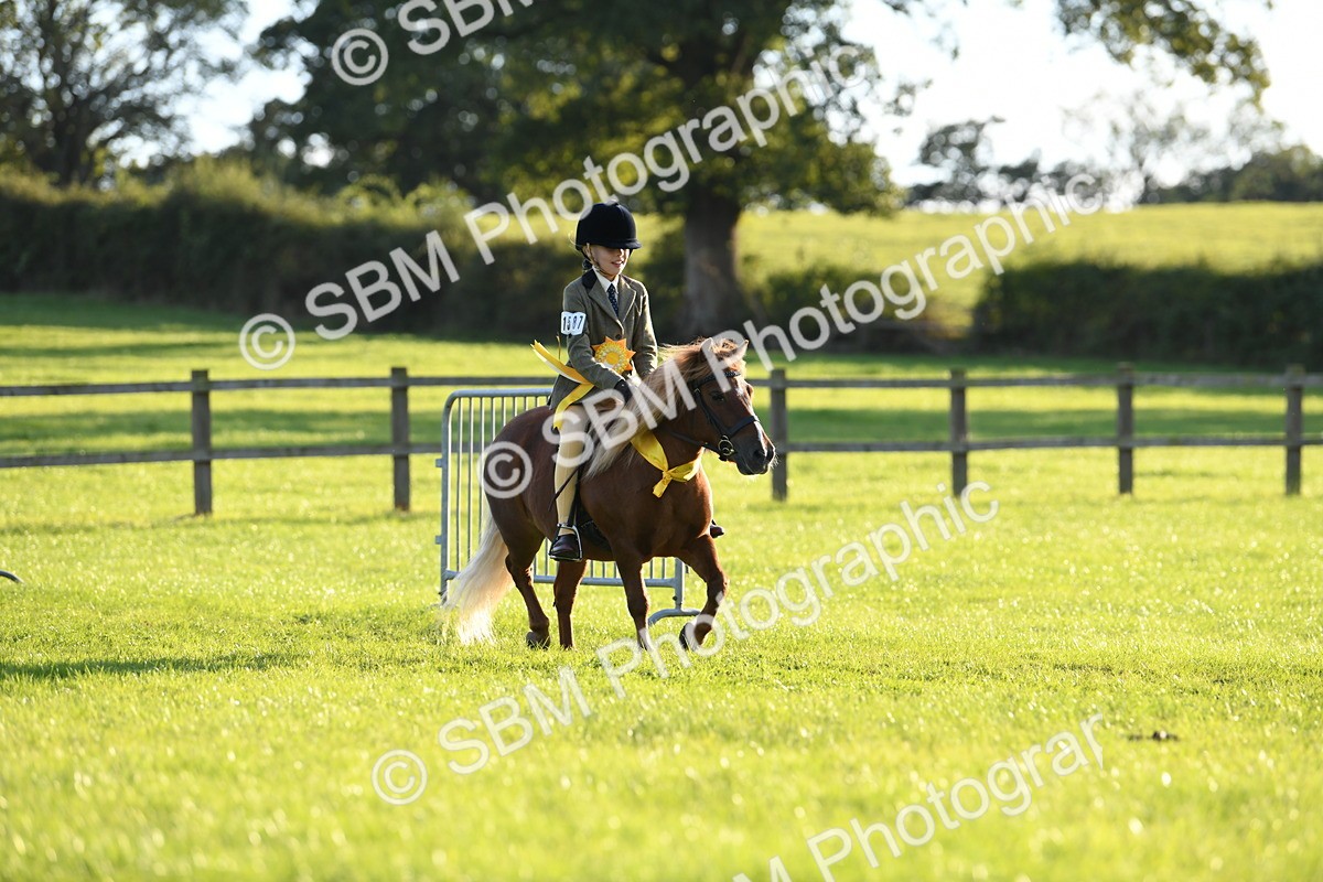 SBM_54195 - S23 - 1st Ridden Mountain & Moorland Pony