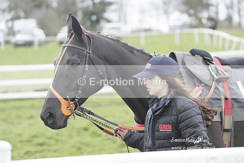 PtP 260323 0435 - New Forest Hounds Point-to-Point Larkhill 26/03/23