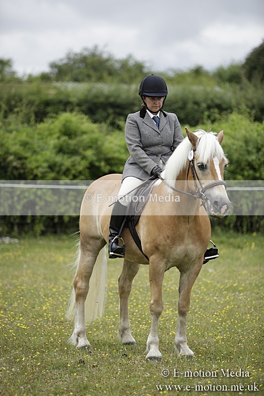 BVR160717-1558 - Ring 1 BVRC Show 16/07/17