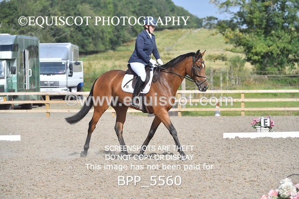 BPP_5560 - MY QUEST OPEN PRELIM TEST 1 + 2