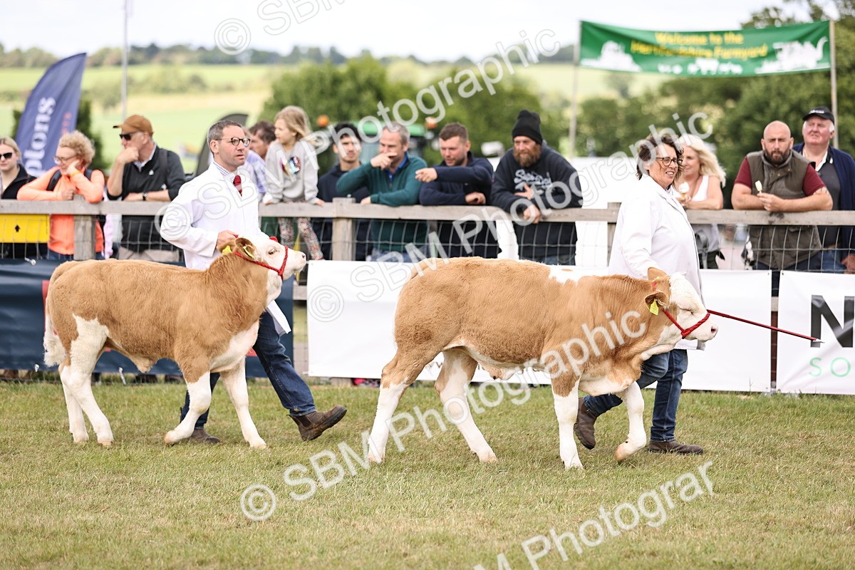 SBM_16879 - Grand Parade