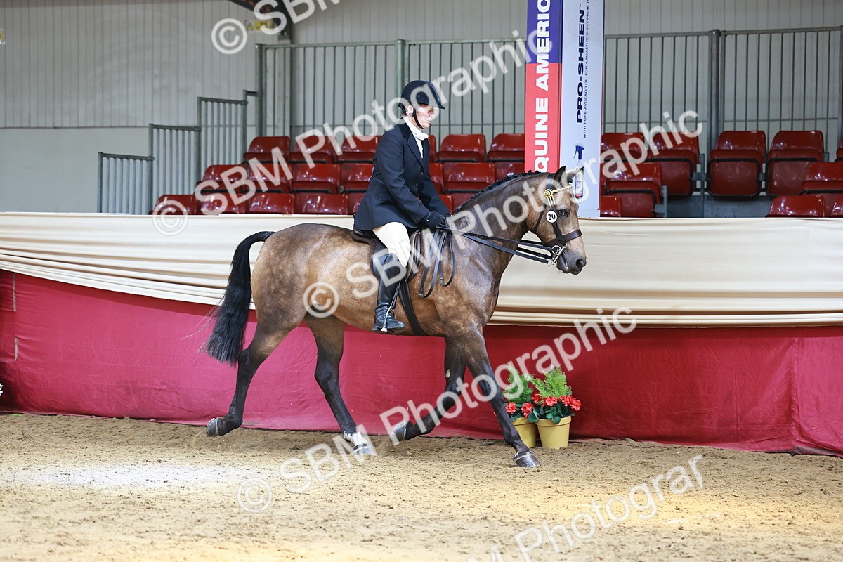 SBM_23893 - Class 905 - Supreme Final - Ridden Veteran