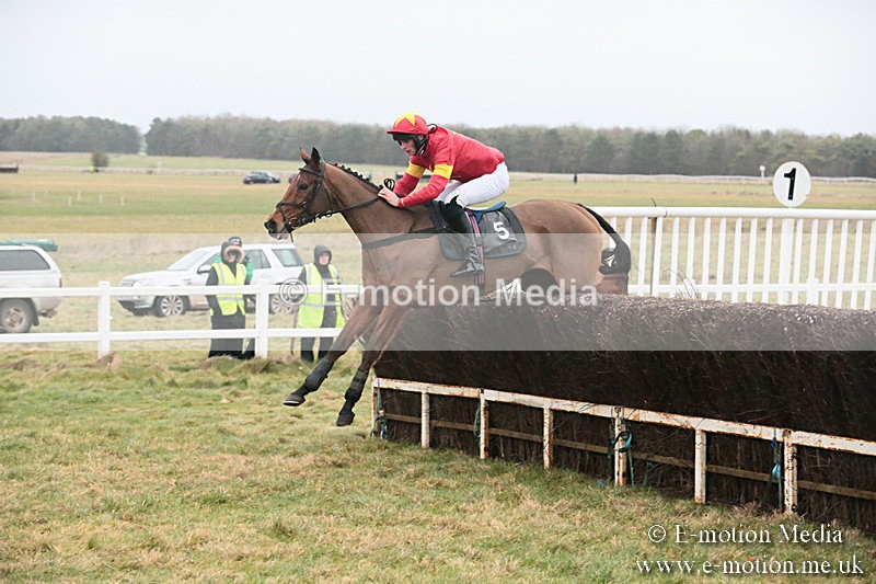 PtP 230119 442 - Royal Artillery Point-to-Point  - Larkhill  - 26/01/19