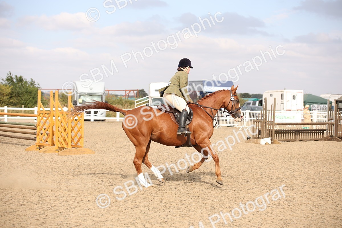 SBM_17317 - Class 410a - Wor5king Veteran 90cm (15-19)