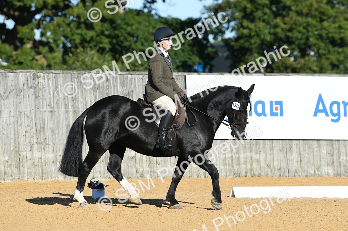 SBM_16077 - D4 - Small Tour Championship - Intro B