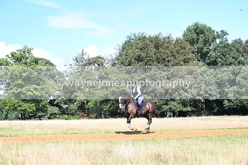 DSC_0163 - Time at Statue 15:58 to 16:05