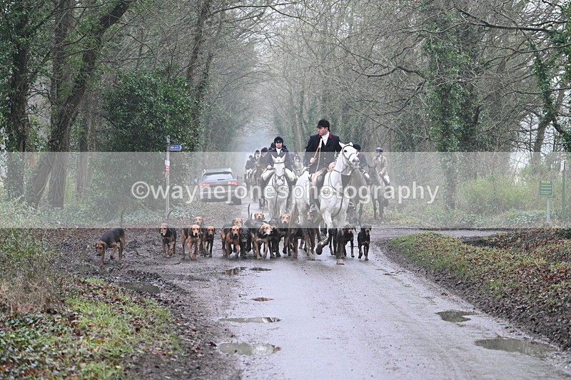 WJ7_3662 - In-between lines