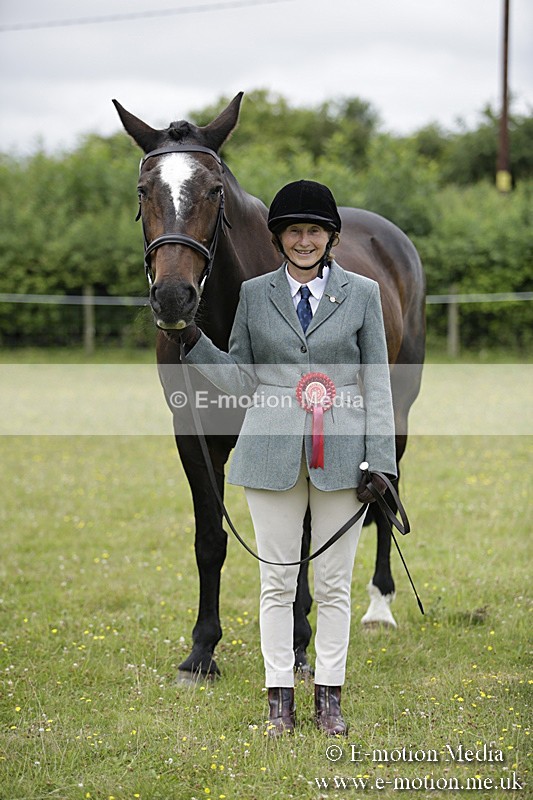 BVR160717-1113 - In Hand Championship 16/07/17