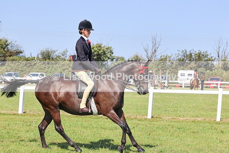 IMG_1918 - Class 33: Show Pony 148cm and under
