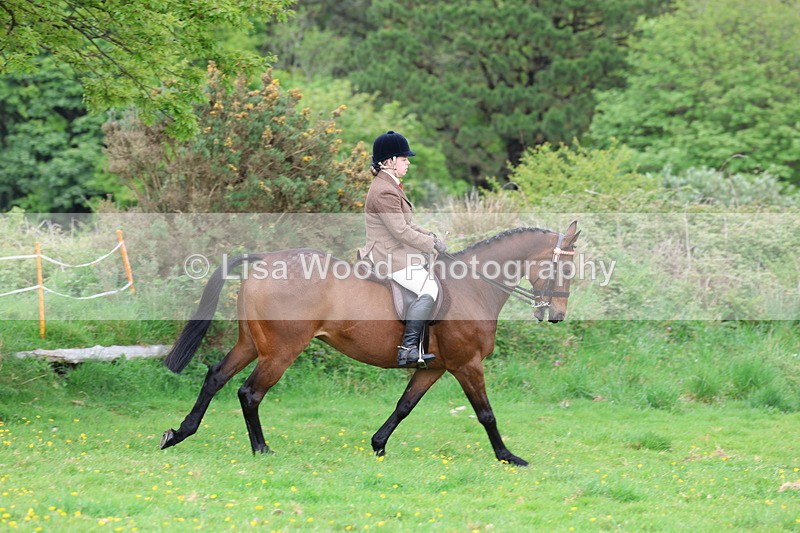 3E7A1444 - Class 8: Ridden Veteran Junoir and Senior