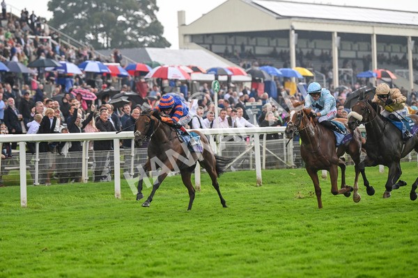 080924-Race 4-Zain Blue-9233 - Race 4 3.25pm PJ Staffing Group Handicap