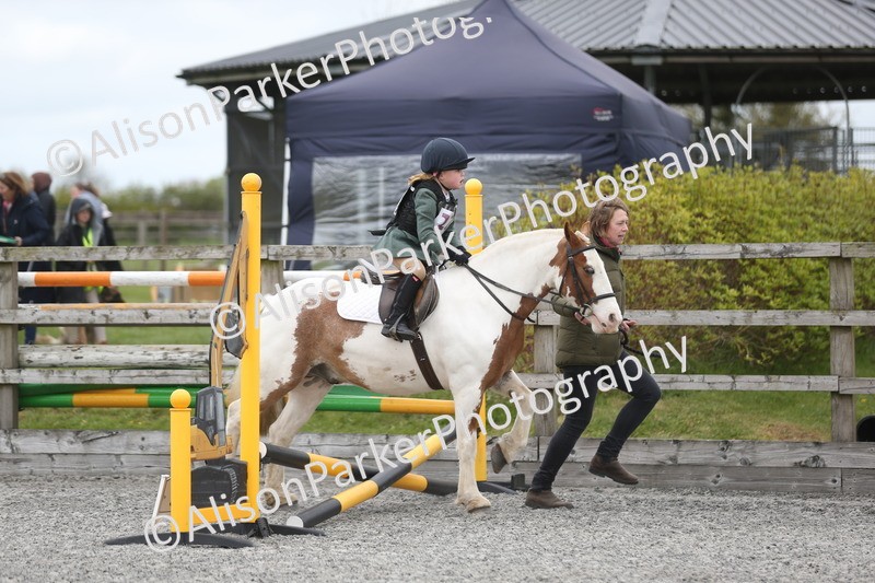 20260412-0184 - Show Jumping