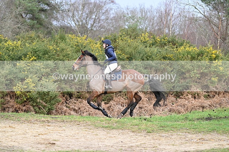 WJ7_8476 - Time 11:41 to 12:16