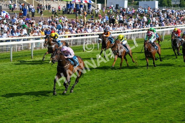 160623-Race 6-Another Investment-0694 - Race 6 4.45pm Irish Thoroughbred Marketing Handicap