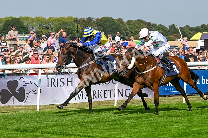 240825-Race 2-Smart Vision-1993 - Race 2