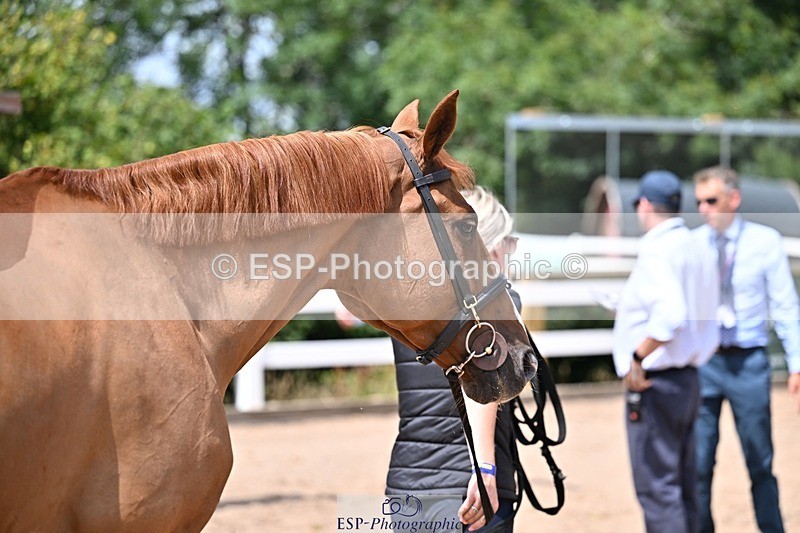 250716-125422-00209 - Trot Up 12.30 to 1.30