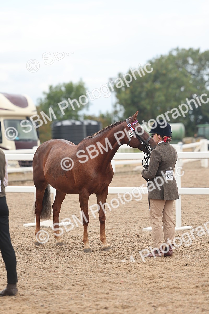 SBM_07784 - Class 27 - IH Competition Horse/Pony