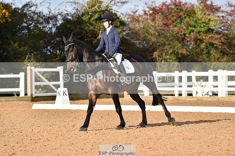 231104A-111908-01517 - Cls 5 Novice 37A