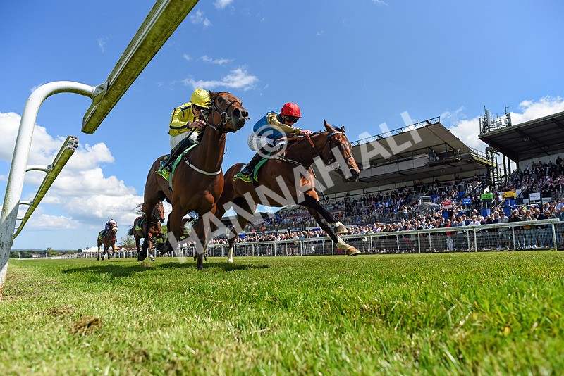 080624-Race 3-Shareholder-0500 - Race 3