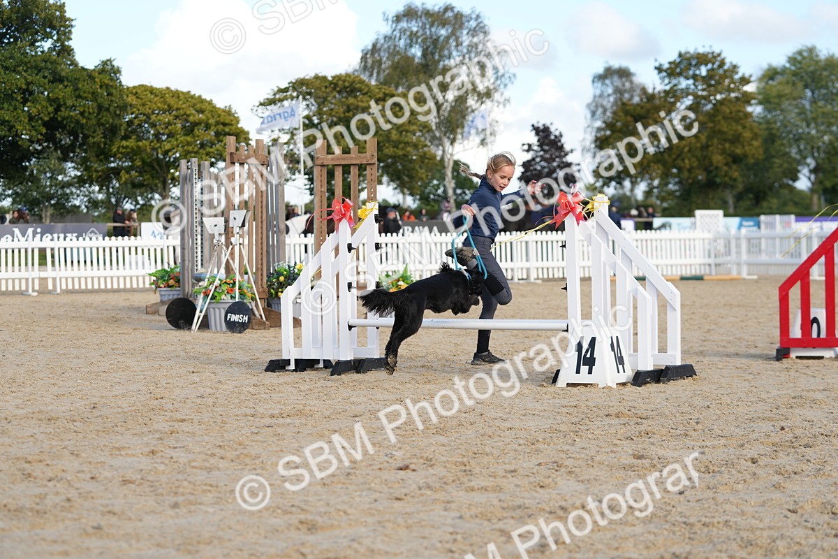 SBM_29133 - J43 - Horse & Hound Open 50cm