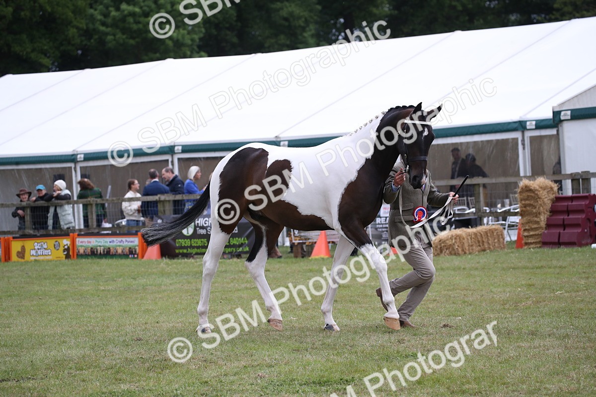 SBM_09869 - Ch 50 - Price Family Supreme In Hand