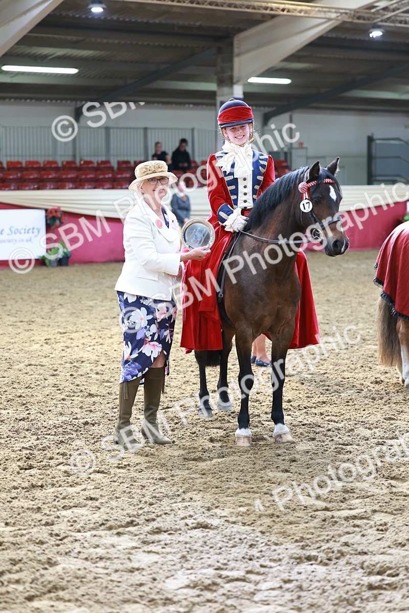 SBM_13492 - Class 104 - Ridden Costume - Astride Junior